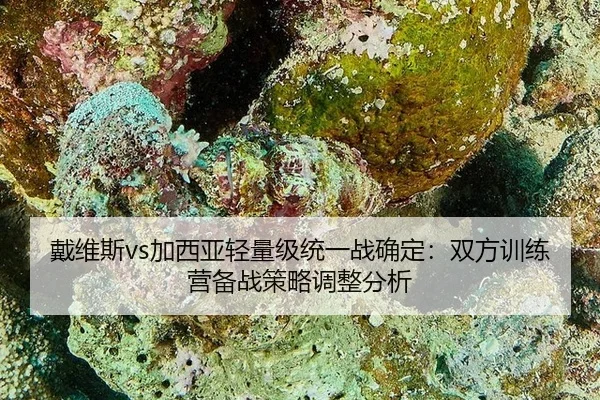 戴维斯vs加西亚轻量级统一战确定：双方训练营备战策略调整分析